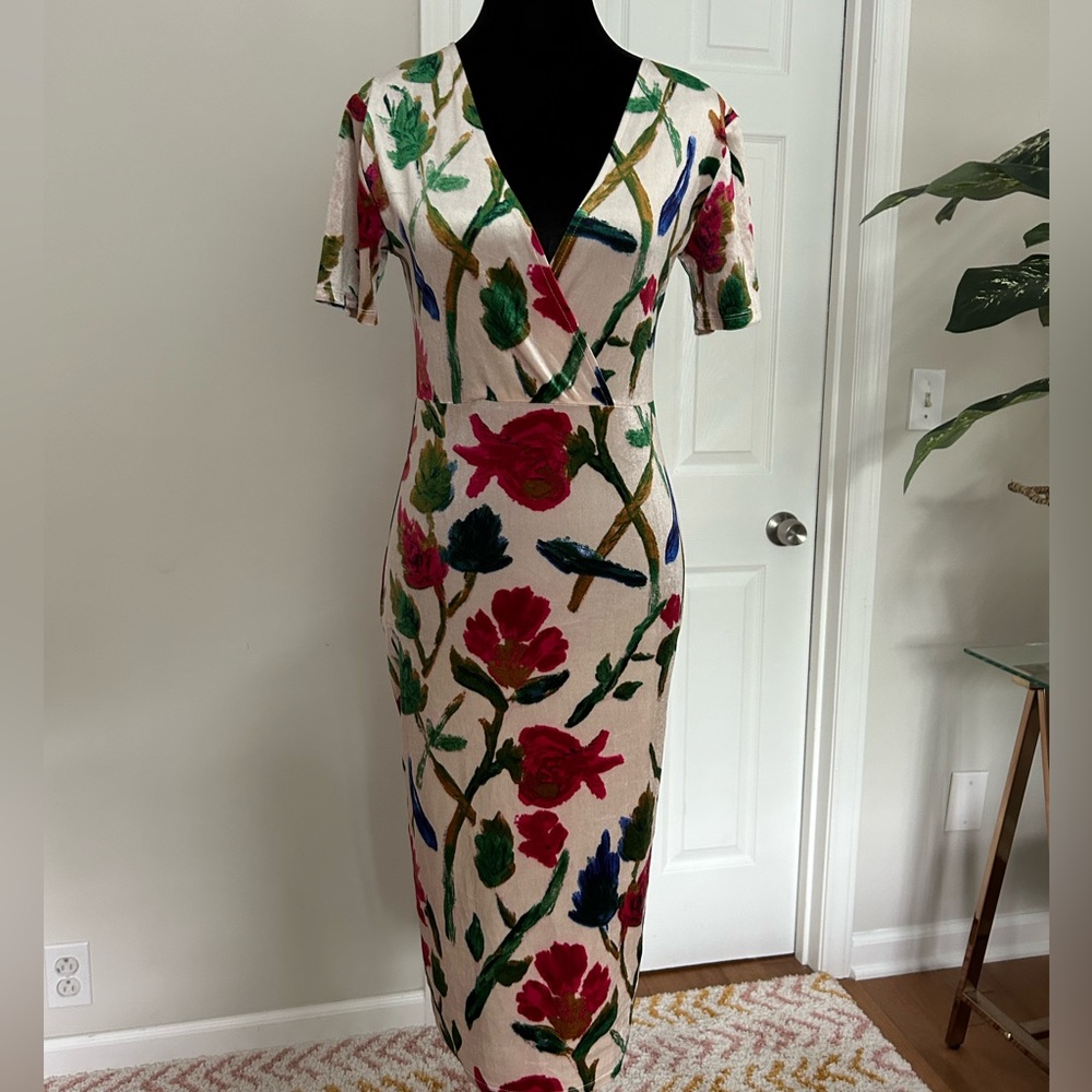 Zara Velour Floral dress